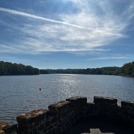 Chalet Au Bord De L'Etang 4 Pers Les Boulmiers Eksteriør billede