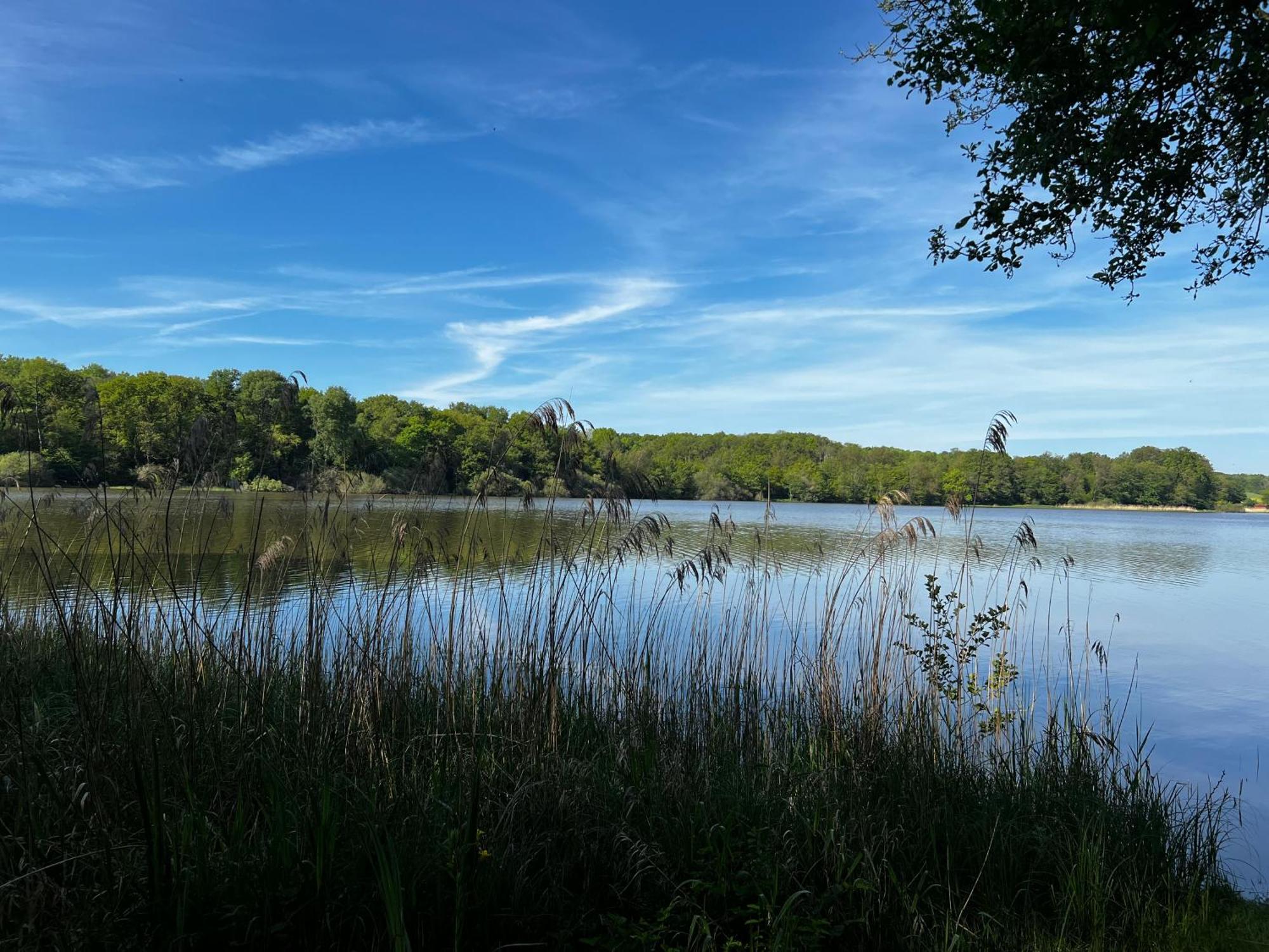 Chalet Au Bord De L'Etang 4 Pers Les Boulmiers Eksteriør billede